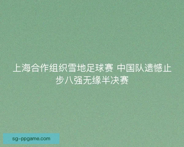 上海合作组织雪地足球赛 中国队遗憾止步八强无缘半决赛 上海合作组织雪地足球赛 中国队遗憾止步八强无缘半决赛