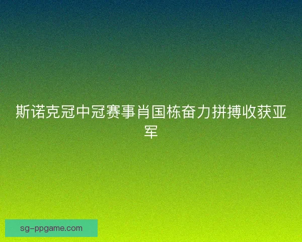 斯诺克冠中冠赛事肖国栋奋力拼搏收获亚军