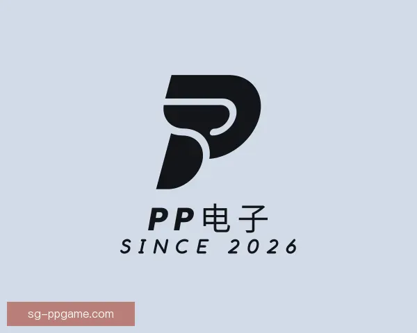 了解PP电子